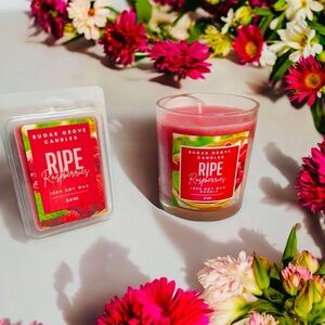 10 oz Ripe Raspberries Single Wick Candle & Ripe Raspberries 2.5 oz Wax Melts